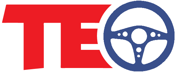 teo logo